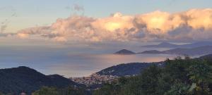 La Foto del Giorno (7 dic.)