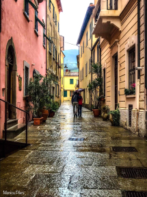 "Sotto la pioggia" - La Foto della Settimana è di Monica Pileri