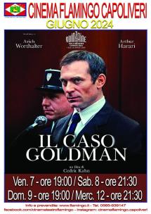 Al Cinema Teatro Flamingo "Il caso Goldman"