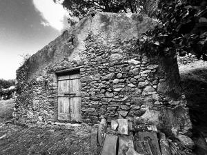 La Foto del Giorno (8 ott.)