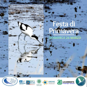 Domenica 26 marzo a Mola Festa di Primavera con passeggiata