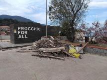 Pulizia della spiaggia di Procchio - Il report della giornata