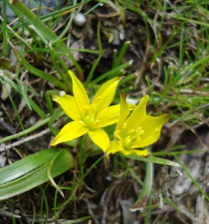 Pubblica Assistenza marinese: Non è facile raccontare Mauro in poche righe