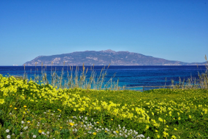 La Foto del Giorno (5 mar.)