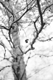 La Foto del Giorno (5 mag.)