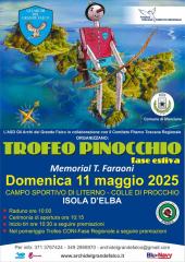 Gli Archi del Grande Falco organizzano a Procchio il Trofeo Pinocchio (fase estiva) ed il Trofeo Coni (fase Regionale)