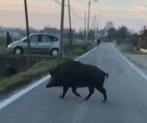 Ad un anno da quella sera, il tempo sembra essersi fermato...