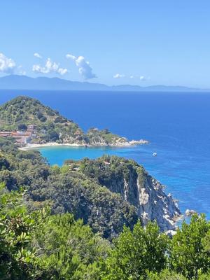 La Foto del Giorno (27 ott.)