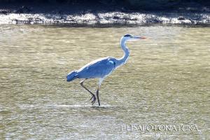 La Foto del Giorno (11 ott.)