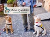 Diretta speciale con Let's Dog, Edicola Elbana e Andrea Zenobi dell'Associazione "Il mio Labrador"