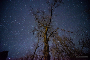 La Foto del Giorno (10 apr.)
