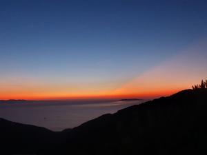 La Foto del Giorno (11 ago.)