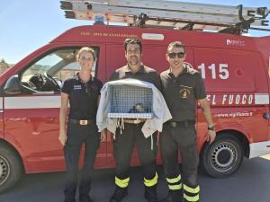 Il grazie di Animal Project ai Vigili del Fuoco per il salvataggio di un gattino