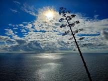 La Foto del Giorno (14 nov.)