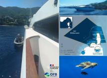 L’umiliante paragone tra le aree marine protette italiane e i Parchi marini francesi