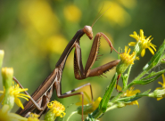 La Foto del Giorno (8 ott.)