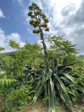 La Foto del Giorno (8 giu.)