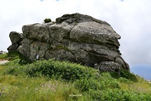 La Foto del Giorno (20 lug.)