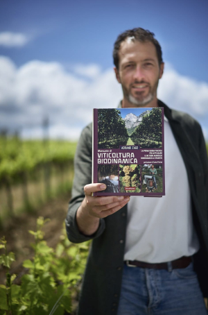 Viaggio in Italia con grandi vini biodinamici