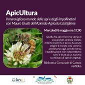 Il meraviglioso mondo delle api, appuntamento in biblioteca con Mauro Giusti