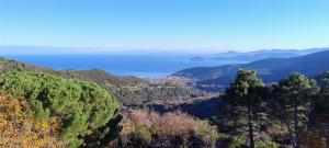 La Foto del Giorno (27 dic.)