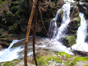 Non tutte le piogge vengono per nuocere - la Nevera