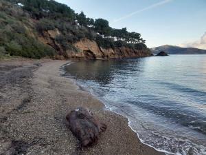 Capoliveri: conclusi i lavori di manutenzione del sentiero e della spiaggia di Malpasso