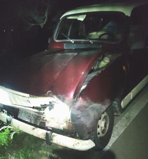 Ennesimo incidente stradale: auto distrutta nell'impatto con un cinghiale