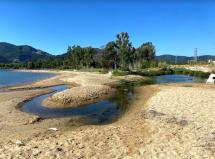 "Adotta una spiaggia", i prossimi appuntamenti per la pulizia delle spiagge del Cammino della Rada
