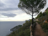 La Foto del Giorno (7 dic.)