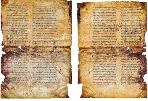 Elba Book riscopre un tesoro medievale: la pergamena del X secolo che riapre il dibattito europeo su Sant’Agostino