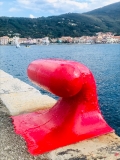 Fotonotizia: bitta rossa, contro la violenza sempre