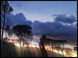 La Foto del Giorno (25 nov.)