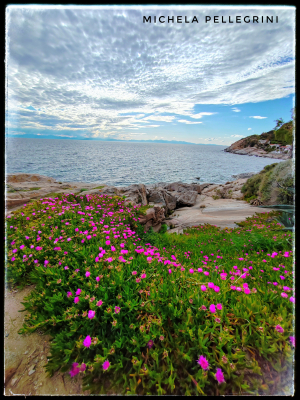 La Foto del Giorno (22 apr.)