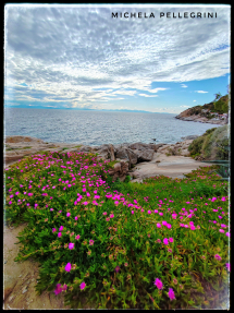 La Foto del Giorno (22 apr.)