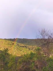 Fotonotizia: dopo la pioggia l'arcobaleno sulla strada del Monumento