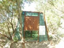 La caccia nei Parchi: Sammuri e la "Tienanmen strategy"