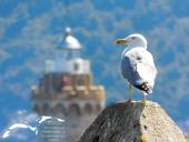 La Foto del Giorno (23 mag.)