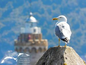 La Foto del Giorno (23 mag.)