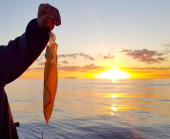A Cavo gara di pesca al calamaro
