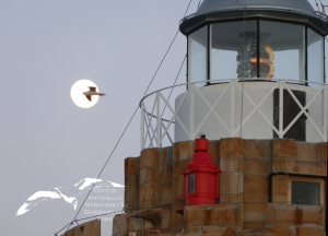 La Foto del Giorno (1° ago.)