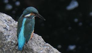 Martino all’Omo e le foto di Ennio