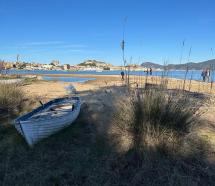Italia Nostra: Un intervento di pulizia della spiaggia di Punta della Rena