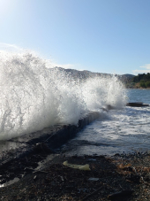 Cavalloni sulla spiaggia delle Grotte