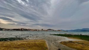 La Foto del Giorno (19 mar.)