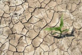 Altri interventi ed opinioni sulla siccità