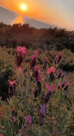 La Foto del Giorno (23 mar.)