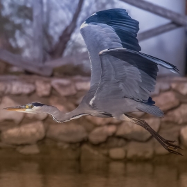 La Foto del Giorno (21 nov.)