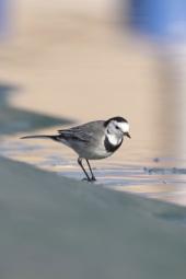 La Foto del Giorno (27 nov.)