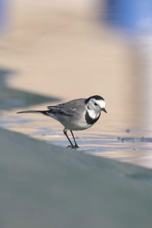 La Foto del Giorno (27 nov.)